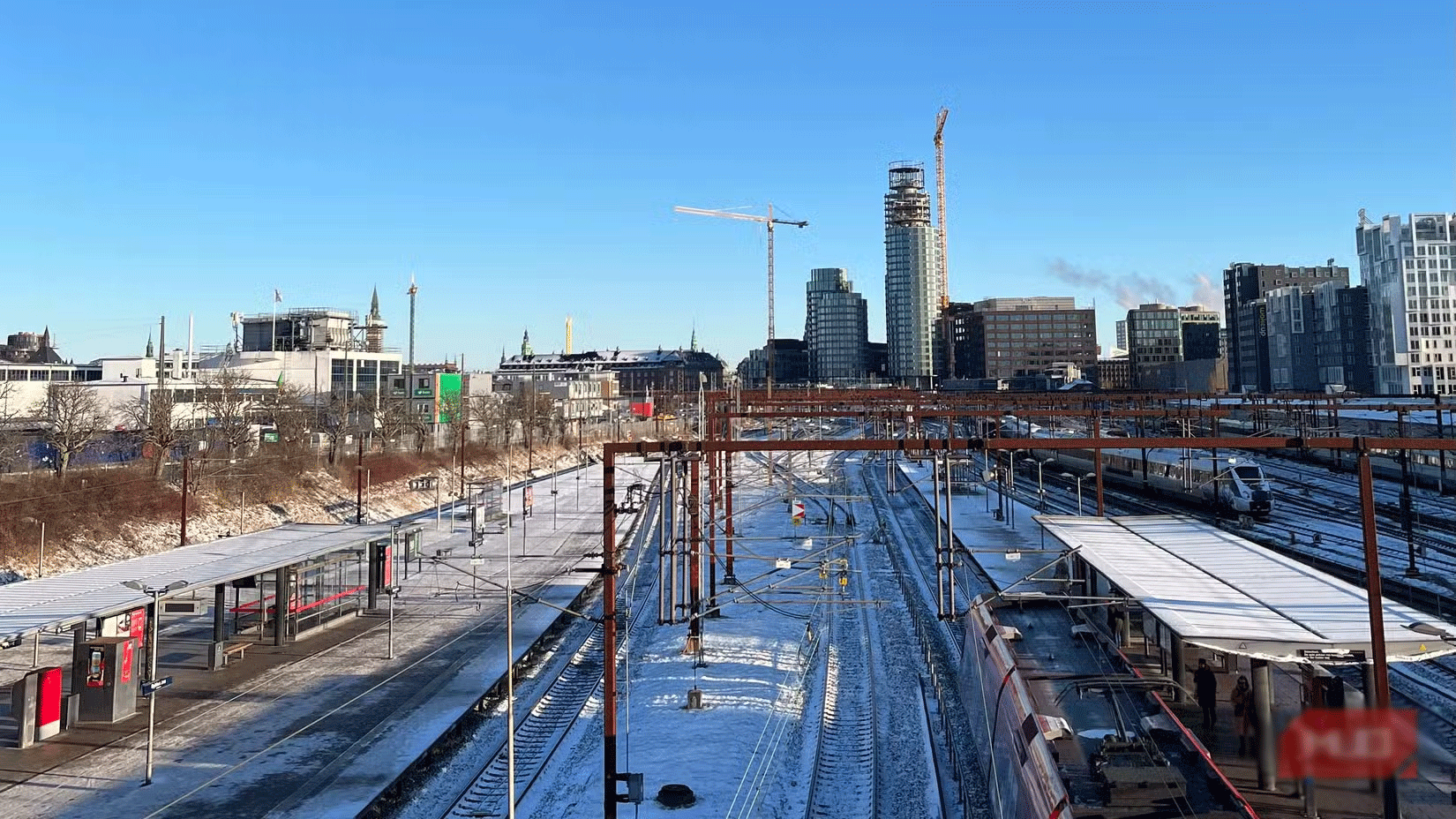 9 useful tips to help you not miss beautiful photos on your smartphone Picture 1