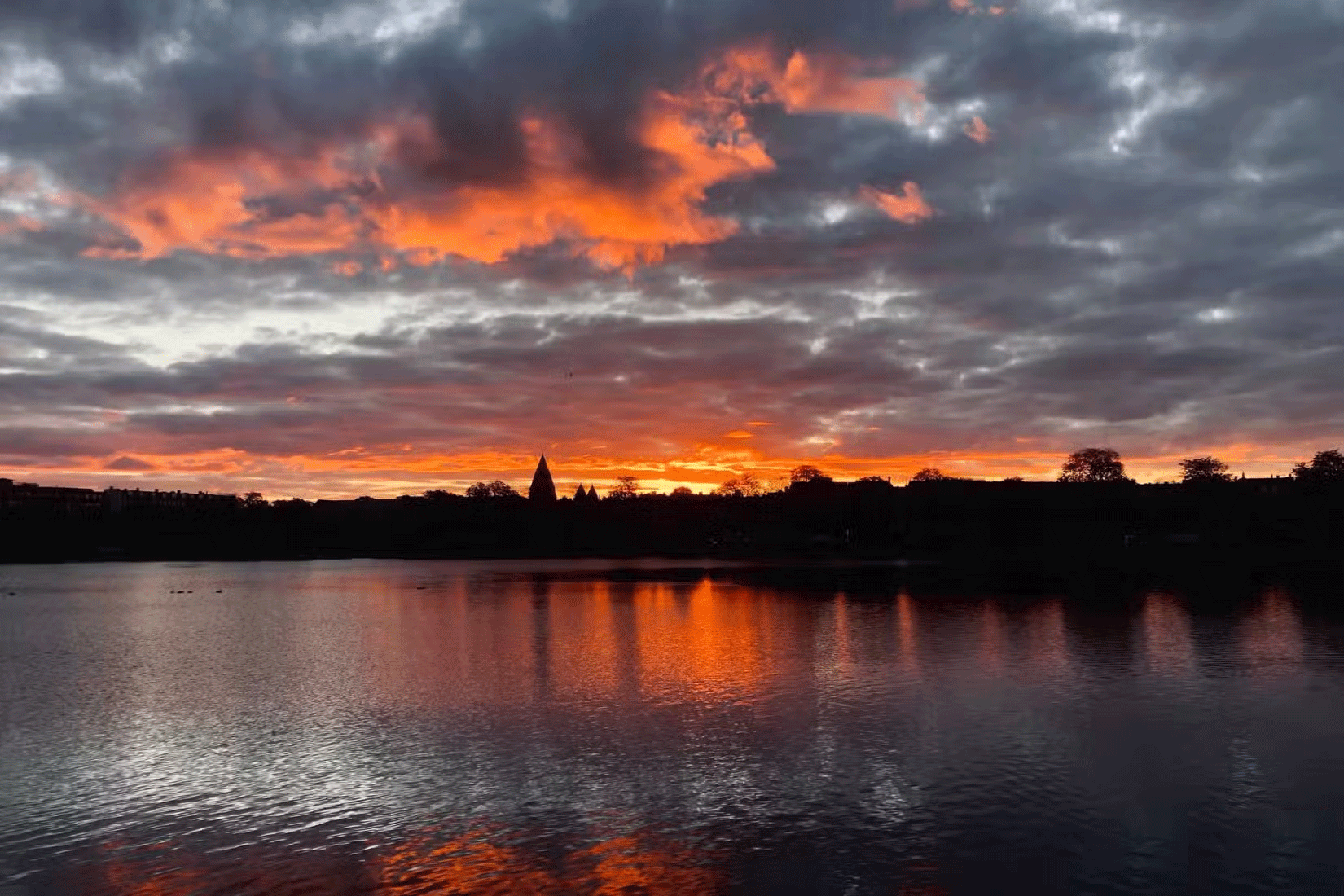 9 useful tips to help you not miss beautiful photos on your smartphone Picture 2