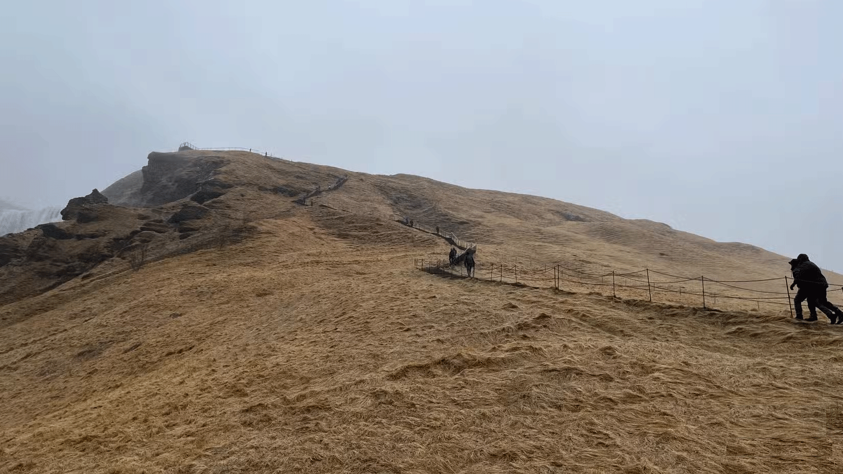 9 useful tips to help you not miss beautiful photos on your smartphone Picture 4