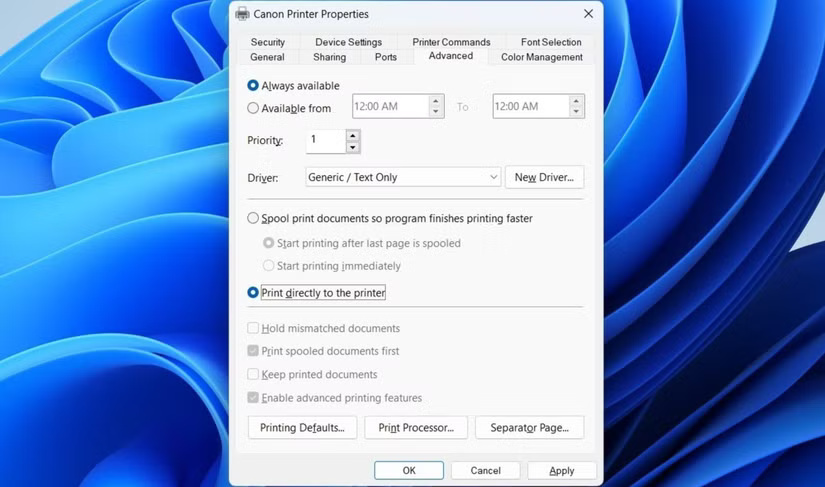 9 Ways to Fix Microsoft Word Documents Not Printing Properly Picture 8