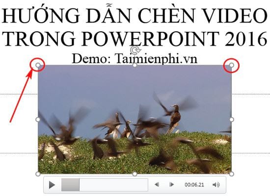 images 8 of A quick guide to inserting videos into PowerPoint 2016.