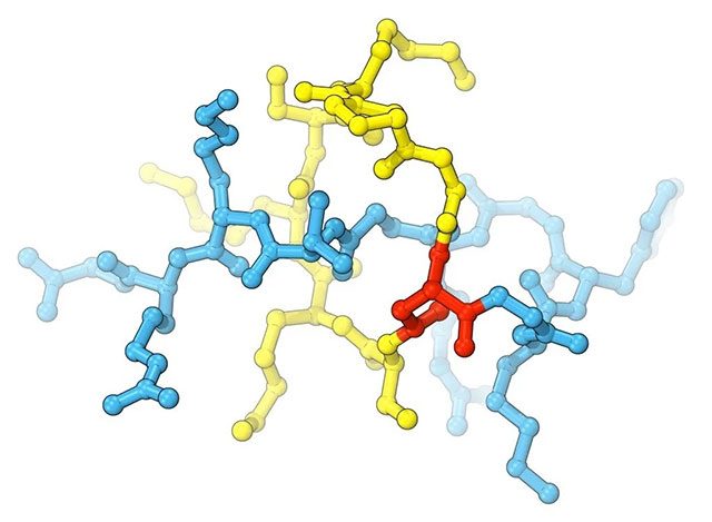 Accidentally discovered a drug that kills antibiotic-resistant bacteria in... home gardens Picture 1