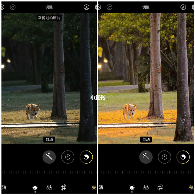 images 1 of Amazing photo editing formulas for iPhone.