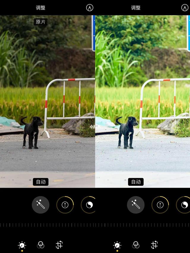 images 1 of Amazing photo editing formulas for iPhone.
