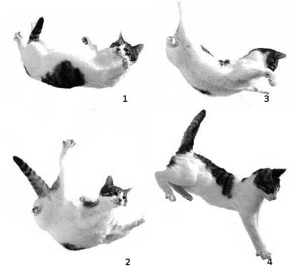 Picture 10 of Fascinating scientific knowledge that isn't found in textbooks.