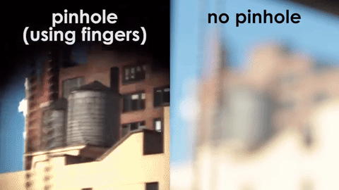 Picture 12 of Fascinating scientific knowledge that isn't found in textbooks.