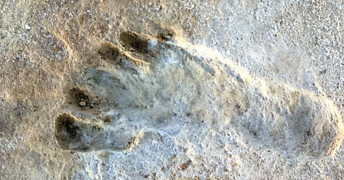 Ancient peoples whose cultural imprints shaped the world Picture 1