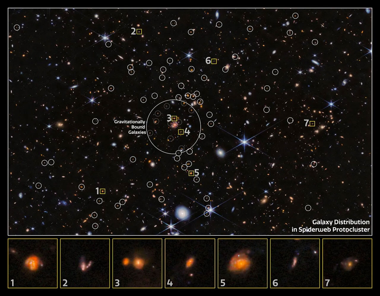 Ancient 'spider web galaxy' cluster discovered, 10 billion years old Picture 1