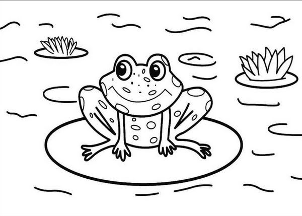 Animal coloring pages for kids, funny pet pictures Picture 16