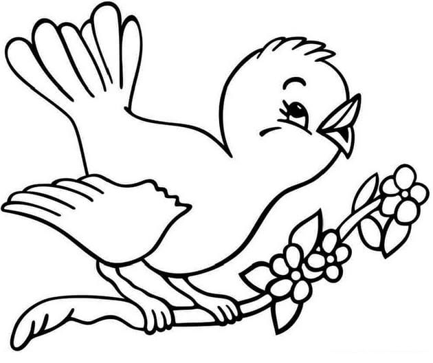 Animal coloring pages for kids, funny pet pictures Picture 24