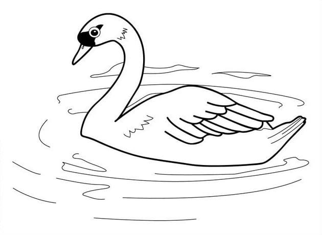 Animal coloring pages for kids, funny pet pictures Picture 25