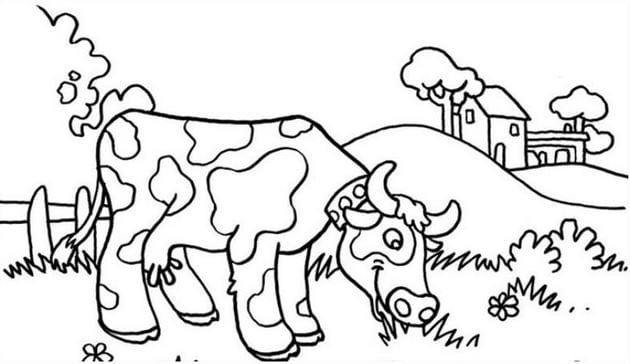 Animal coloring pages for kids, funny pet pictures Picture 26