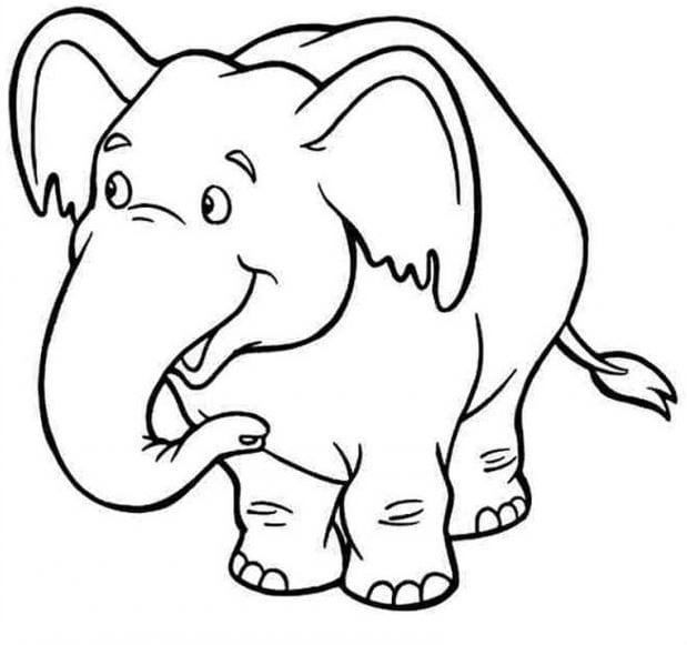 Animal coloring pages for kids, funny pet pictures Picture 29