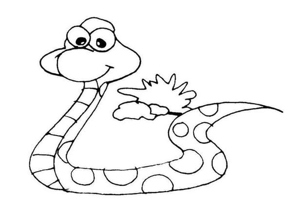 Animal coloring pages for kids, funny pet pictures Picture 32