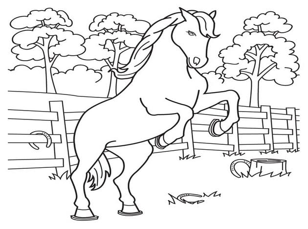 Animal coloring pages for kids, funny pet pictures Picture 34