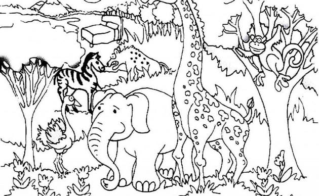 Animal coloring pages for kids, funny pet pictures Picture 35