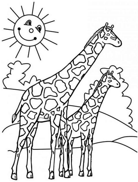 Animal coloring pages for kids, funny pet pictures Picture 40