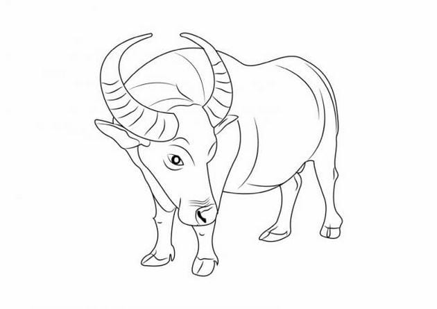 Animal coloring pages for kids, funny pet pictures Picture 43