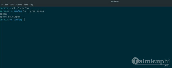 Backup Opera browser settings on Linux Picture 1