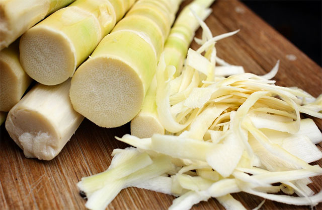 Bamboo shoots could become the new 'superfood' according to scientific research. Picture 1