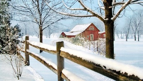 Picture 13 of Beautiful Christmas/Noel wallpapers for computers and laptops.