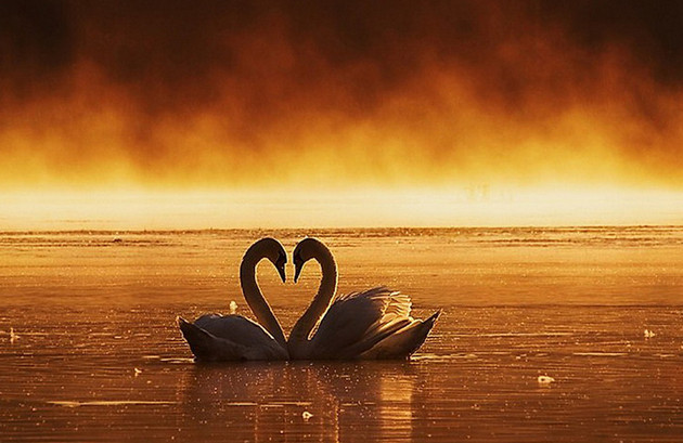 Picture 11 of Beautiful images of love and happiness.