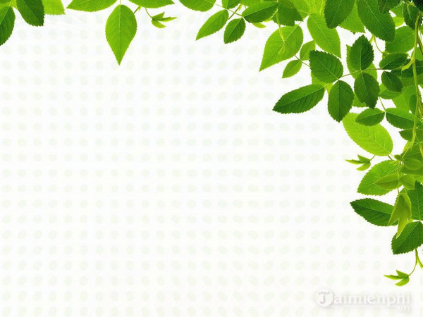 Picture 6 of Beautiful PowerPoint backgrounds, professional PowerPoint backgrounds