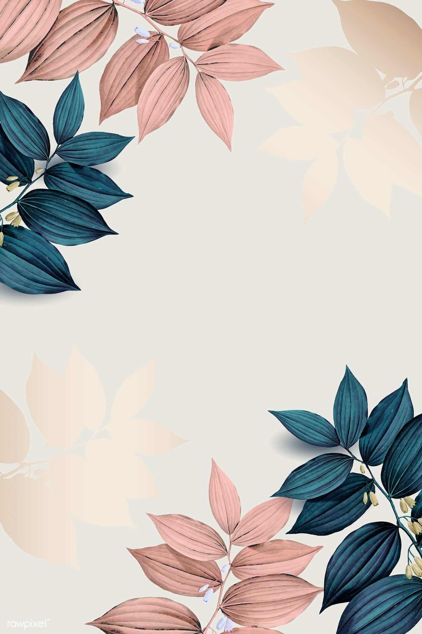 Picture 114 of Beautiful white background images, white background images for phones and computers.