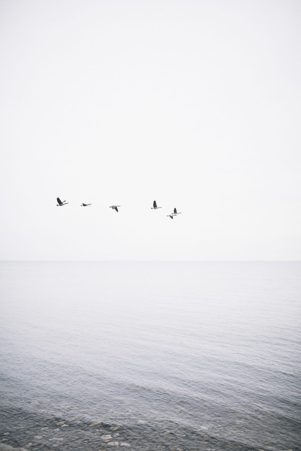 Picture 133 of Beautiful white background images, white background images for phones and computers.