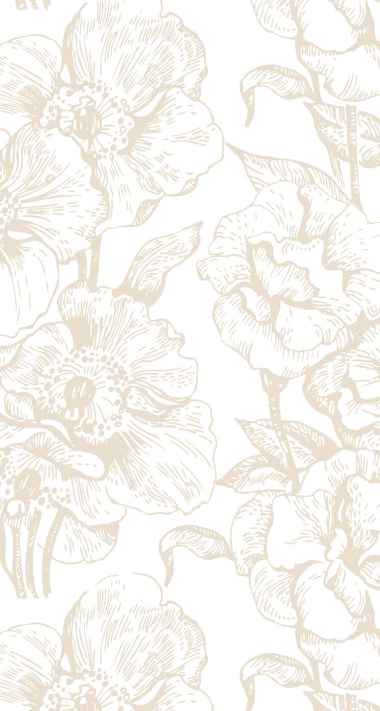 Picture 66 of Beautiful white background images, white background images for phones and computers.