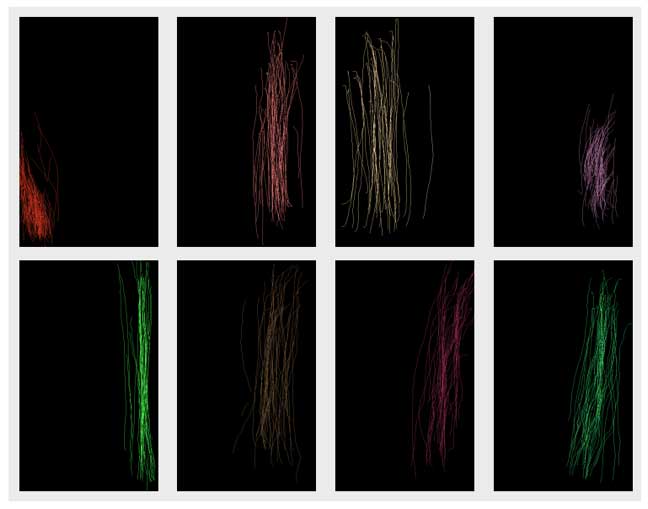 Behavioral biometrics: The new 'certificate' in the AI ​​era. Picture 1