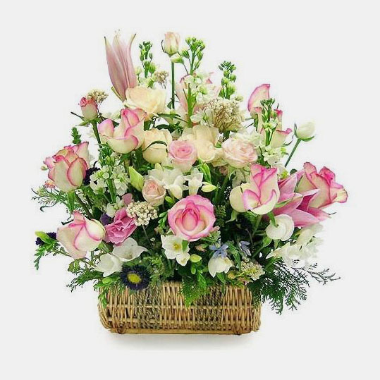 Birthday flower pictures, most beautiful birthday greeting flower pictures Picture 18