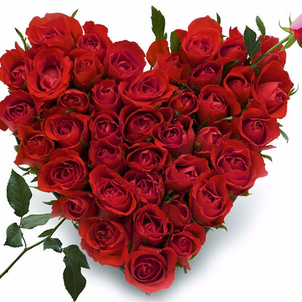 Birthday flower pictures, most beautiful birthday greeting flower pictures Picture 26