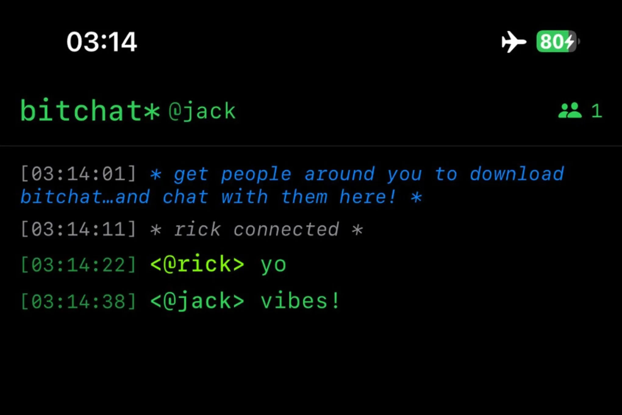 Bitchat - Messaging App Without Internet Picture 3