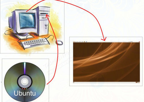 Boot and run Ubuntu from the USB drive Picture 5