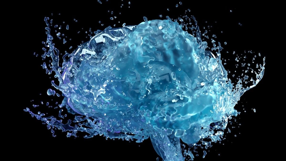 Picture 1 of brain cleaning study - penn state brain cleaning study