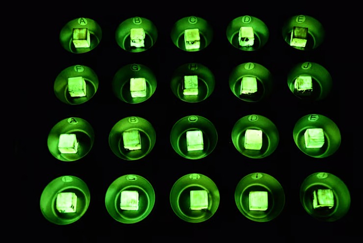 Breakthrough creates wood that glows in the dark Picture 1