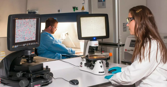 Breakthroughs open up new hope in the fight against cancer Picture 1