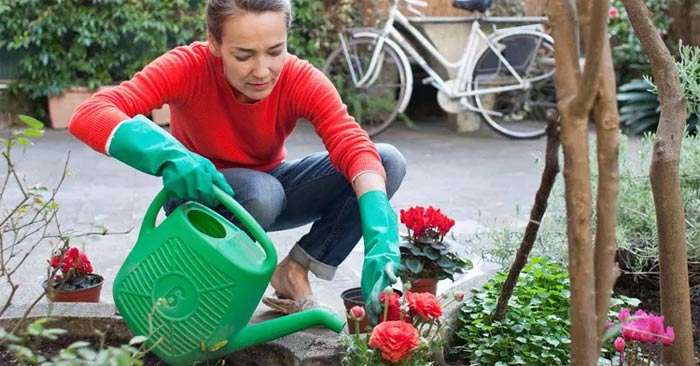 Activities that burn calories like a 30-minute walk Picture 1