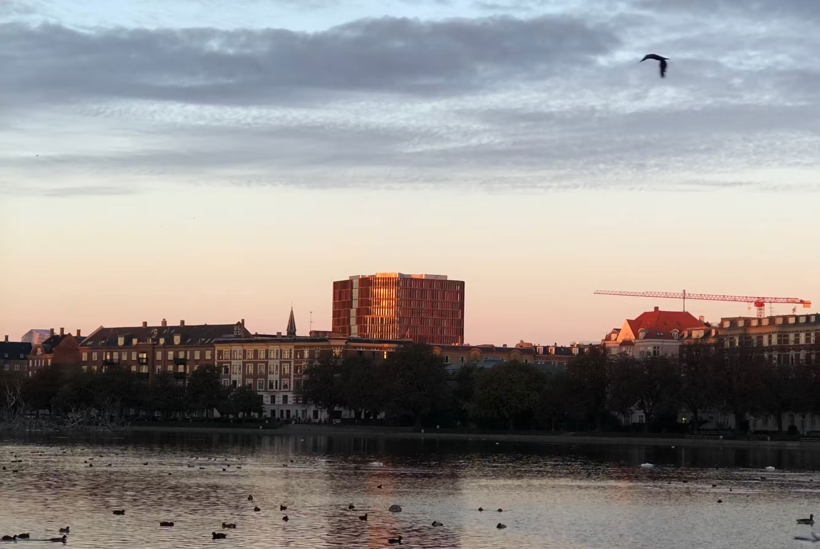 Can I take photos of moving objects on a smartphone? Picture 4