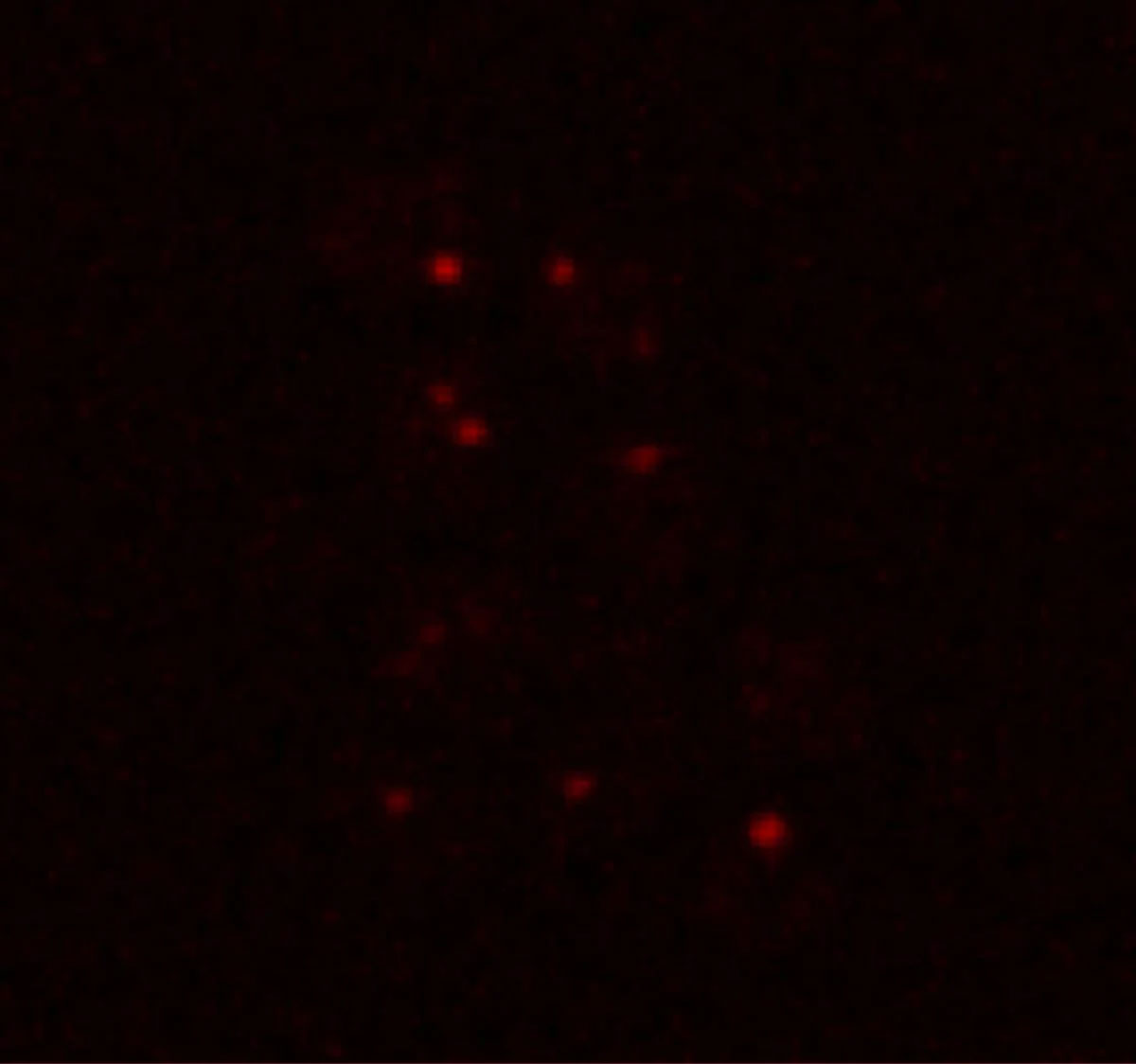 Could life exist on Mars? Yeast offers a surprising answer. Picture 1