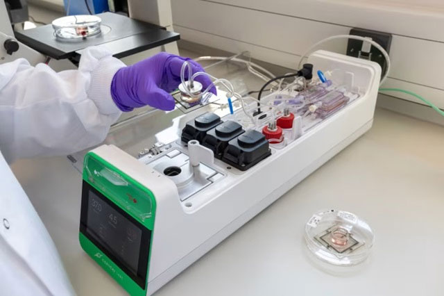 CL1 – the world's first 'living computer' powered by human brain cells Picture 1