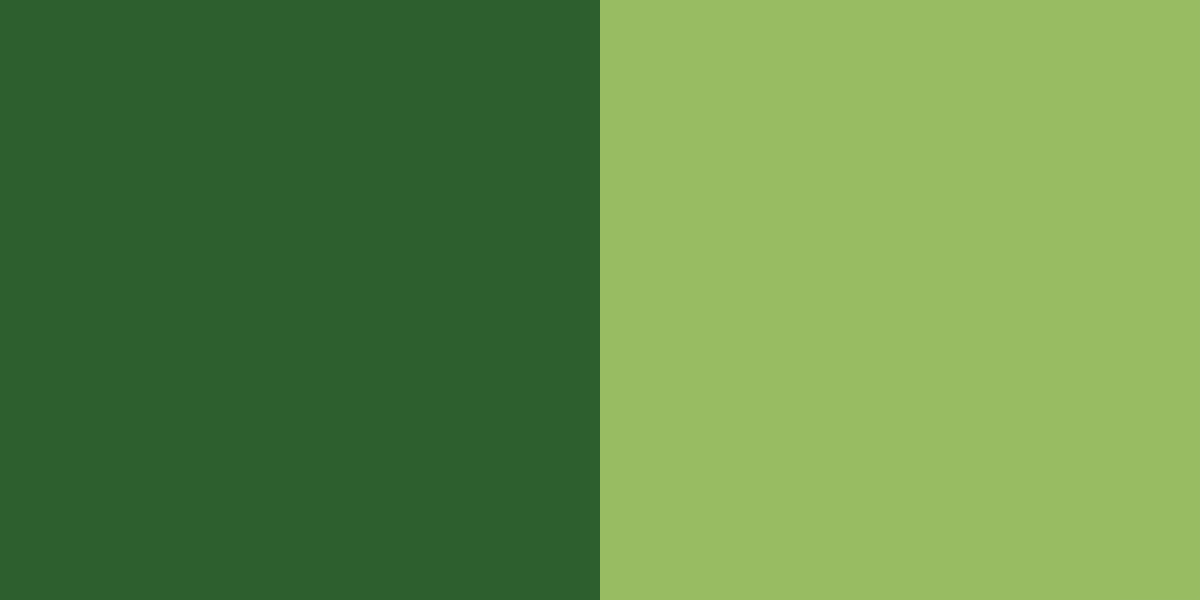 images 30 of Color theory, the color wheel, and color matching techniques.