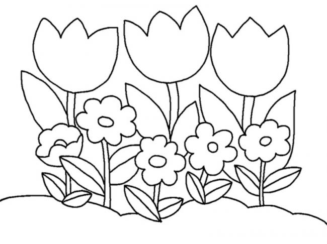 Picture 12 of Coloring pages for kids with many themes