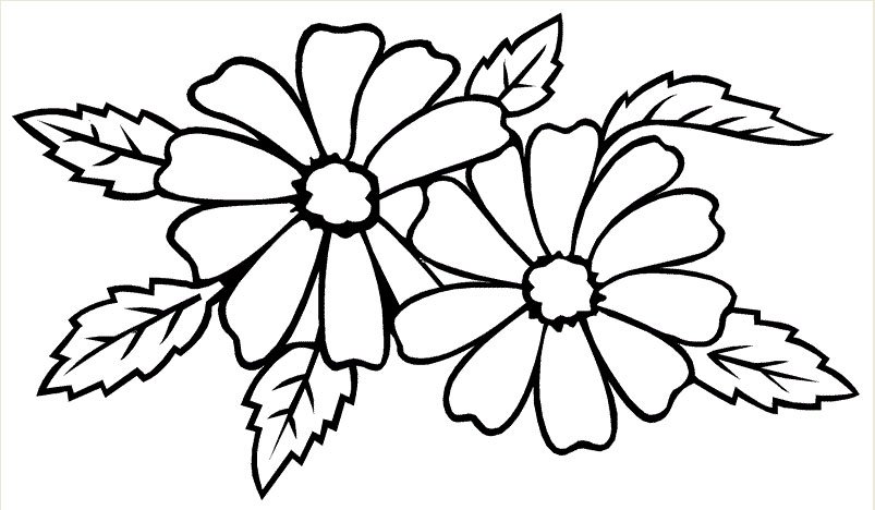 Picture 19 of Coloring pages for kids with many themes