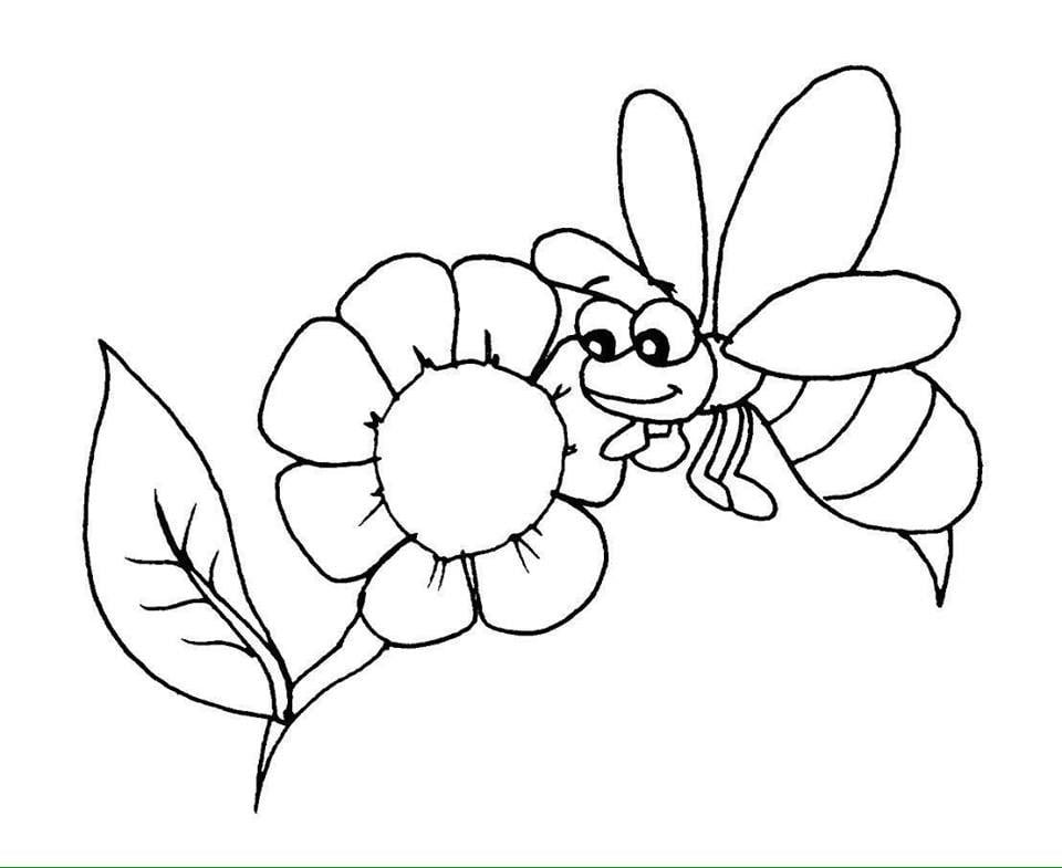 Picture 55 of Coloring pages for kids with many themes