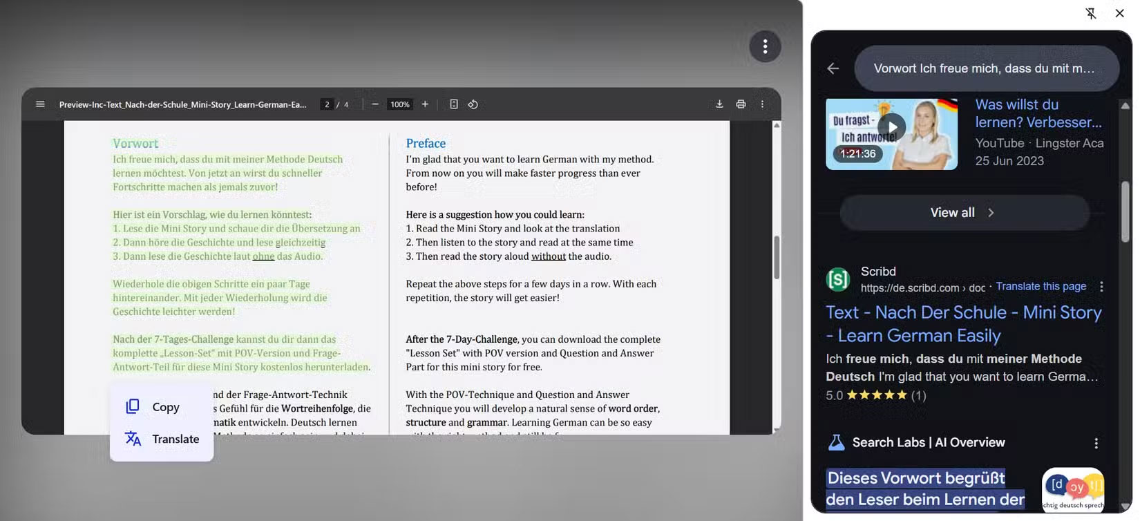 Comparing Microsoft Copilot Vision and Google Lens Picture 5