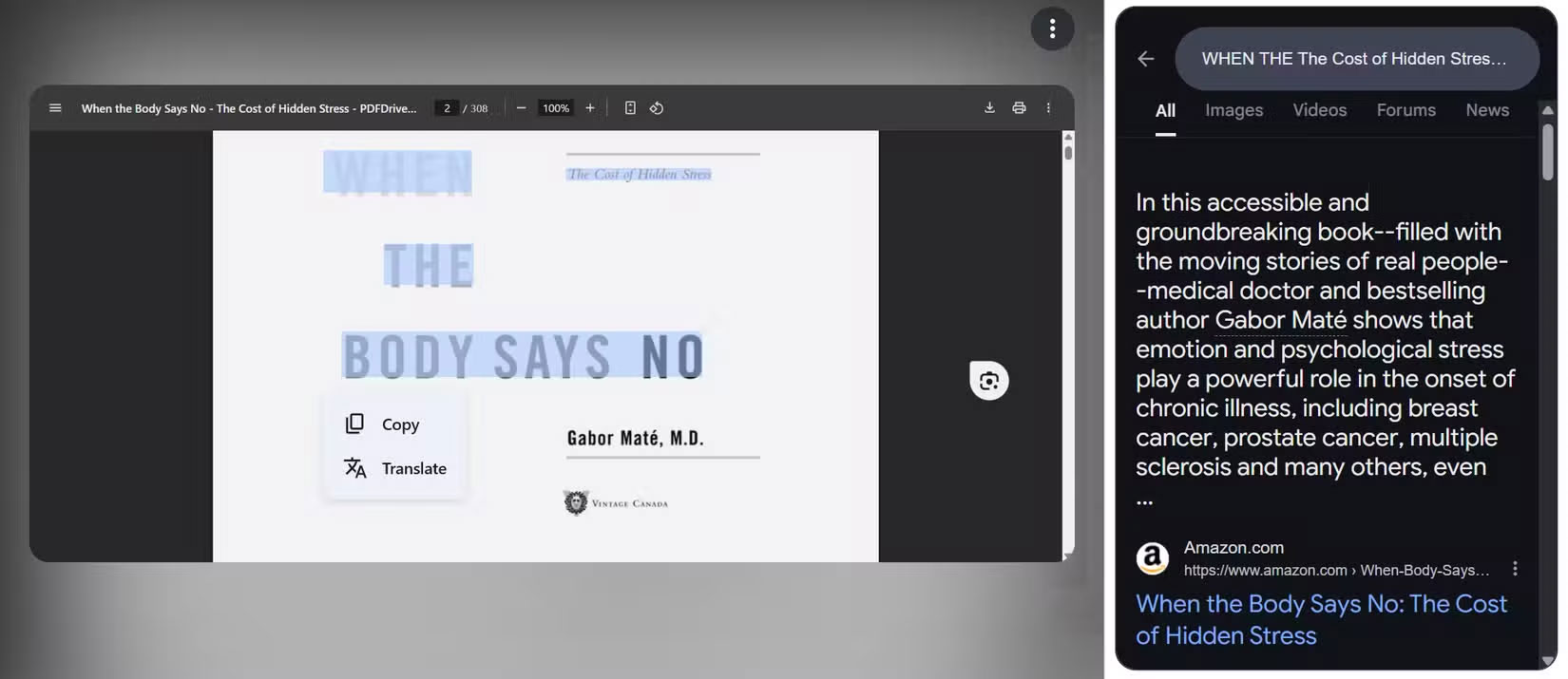 Comparing Microsoft Copilot Vision and Google Lens Picture 7