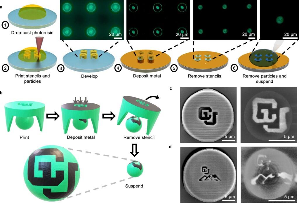 Microrobots controlled by metal patches can deliver drugs and clean up pollution Picture 1