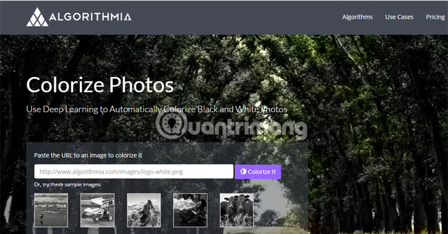 Convert black and white photos to color in the blink of an eye Picture 11